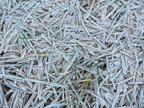 The texture of grass is covered with frost. Frost, icicles on the grass, ice. Frozen harvest.