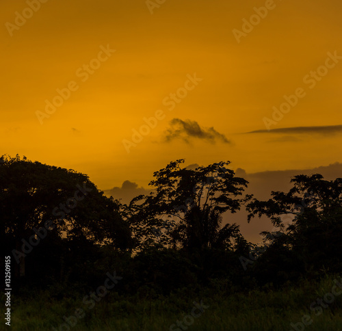 A beautiful sunset in the Delta of the Orinoco - Venezuela photo