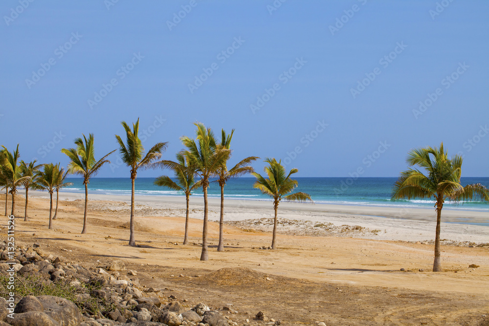 Beach in Al Mughsayl,Dhofar, Oman Beach in Al Mughsayl,Dhofar, Oman