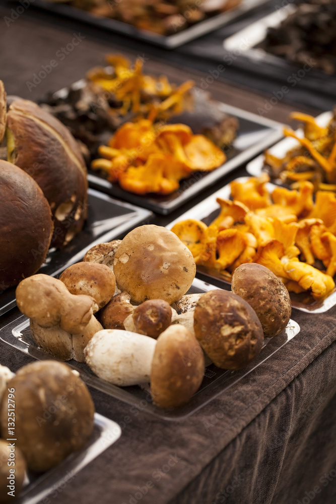 oletus, Chanterelle in a street market. Vic, Catalonia, Spain. oletus, Chanterelle in a street market. Vic, Catalonia, Spain.