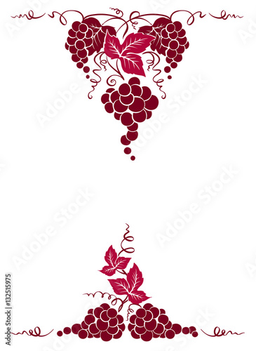 Frame from grapes / Vector illustration, floral design element