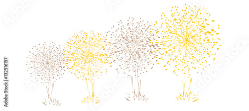feu d'artifice célébration
