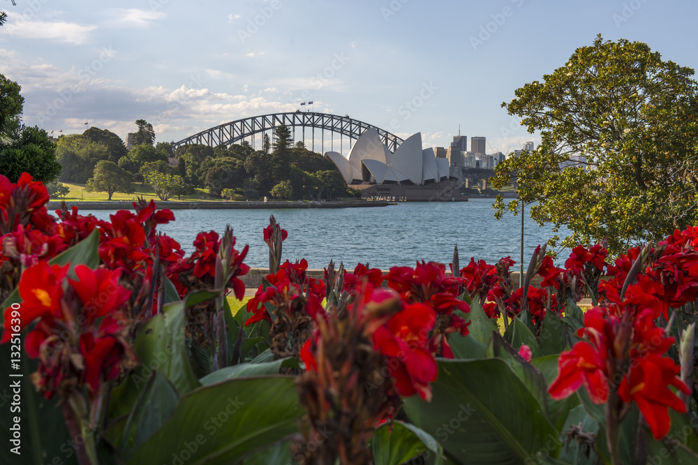 Sydney November 2016 : View in Botanic garden look toward to Syd