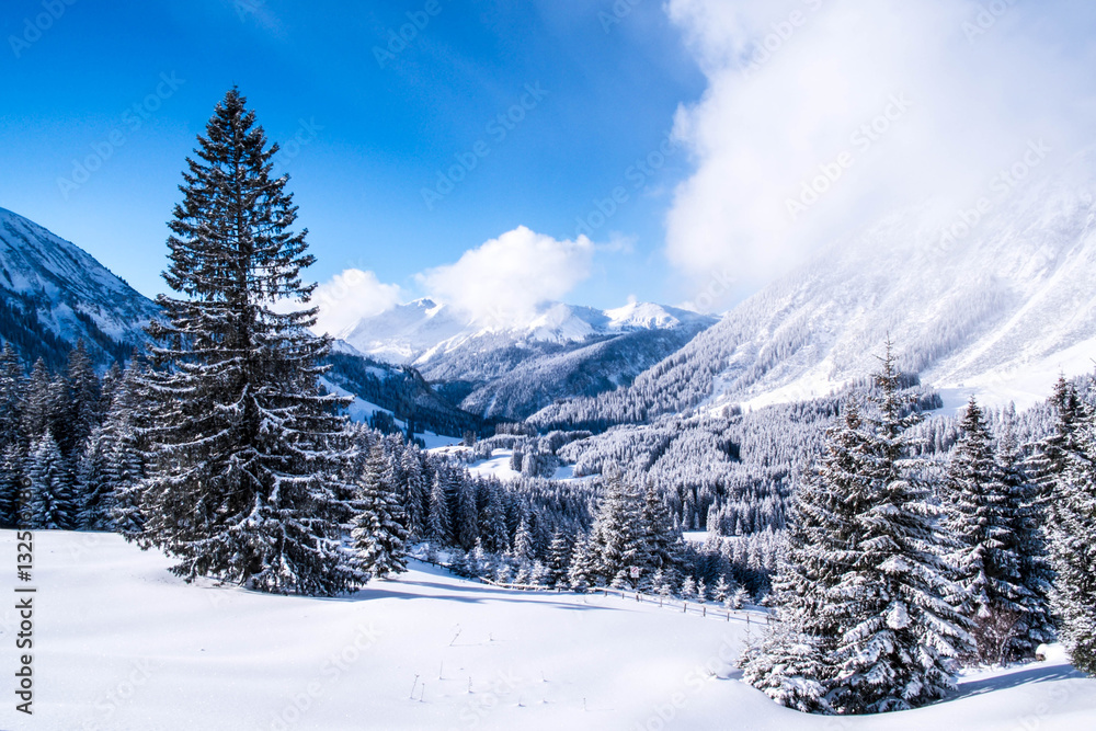Winterzauber im Tiroler Bergland
