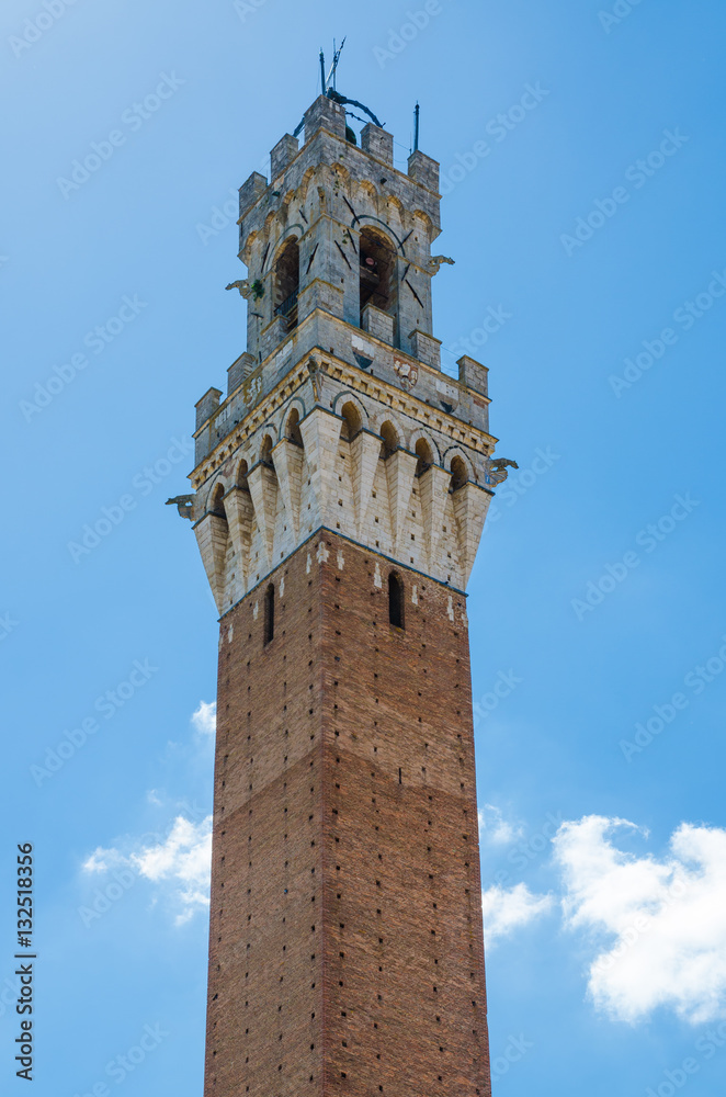 Tower of Palazzo Pubblico on Piazza del Campo in historic city centre of Siena, Italy, Europe