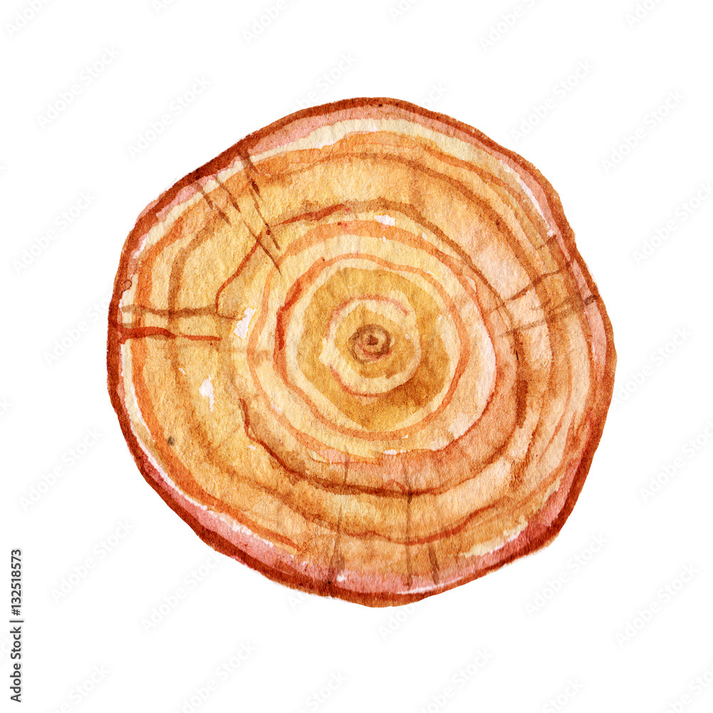 Fototapeta premium Watercolor Hand drawn wooden slice illustration isolated on white background