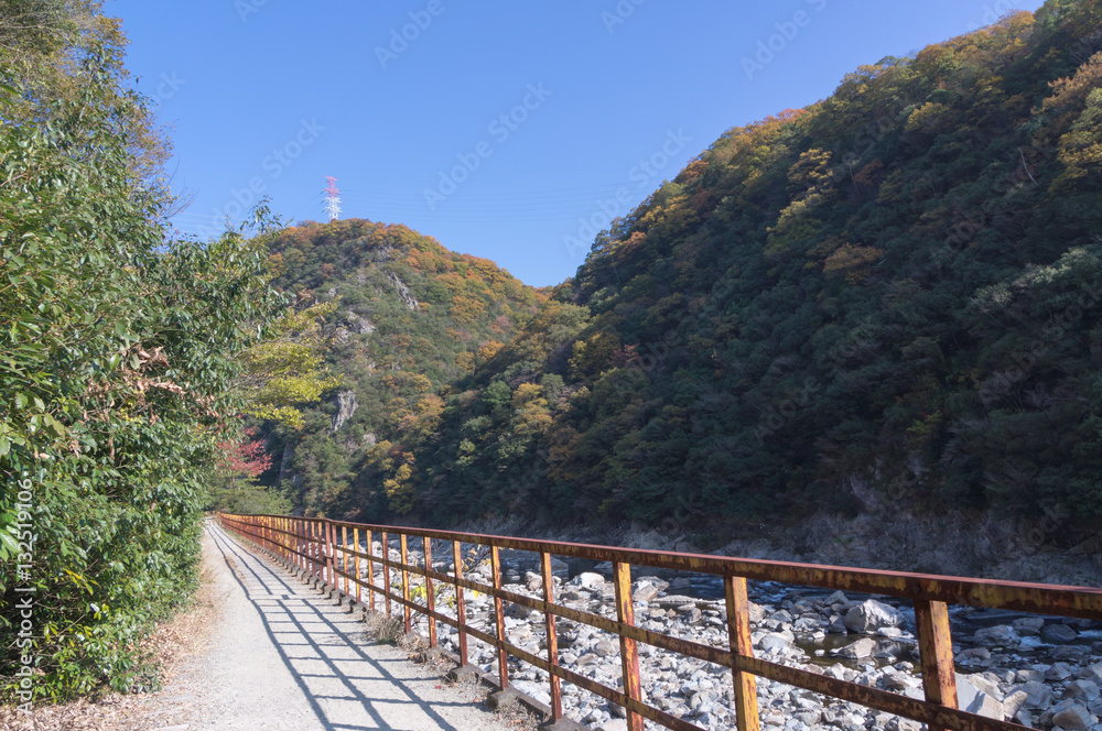 Road to the mountains.Mountain landscape,mukogawa valley,japan. 