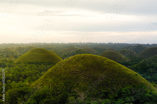 Chocolate Hill in Bohol Island, Philippine