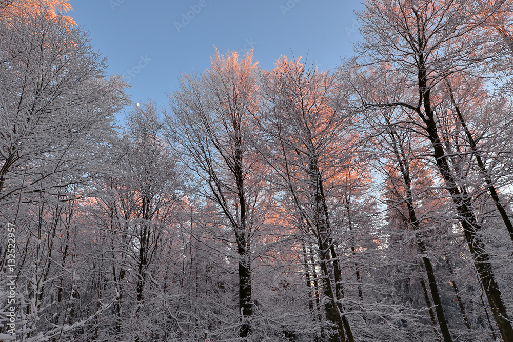 verschneite Winterlandschaft Sonne Winterwald verschneite Winterlandschaft Sonne Winterwald