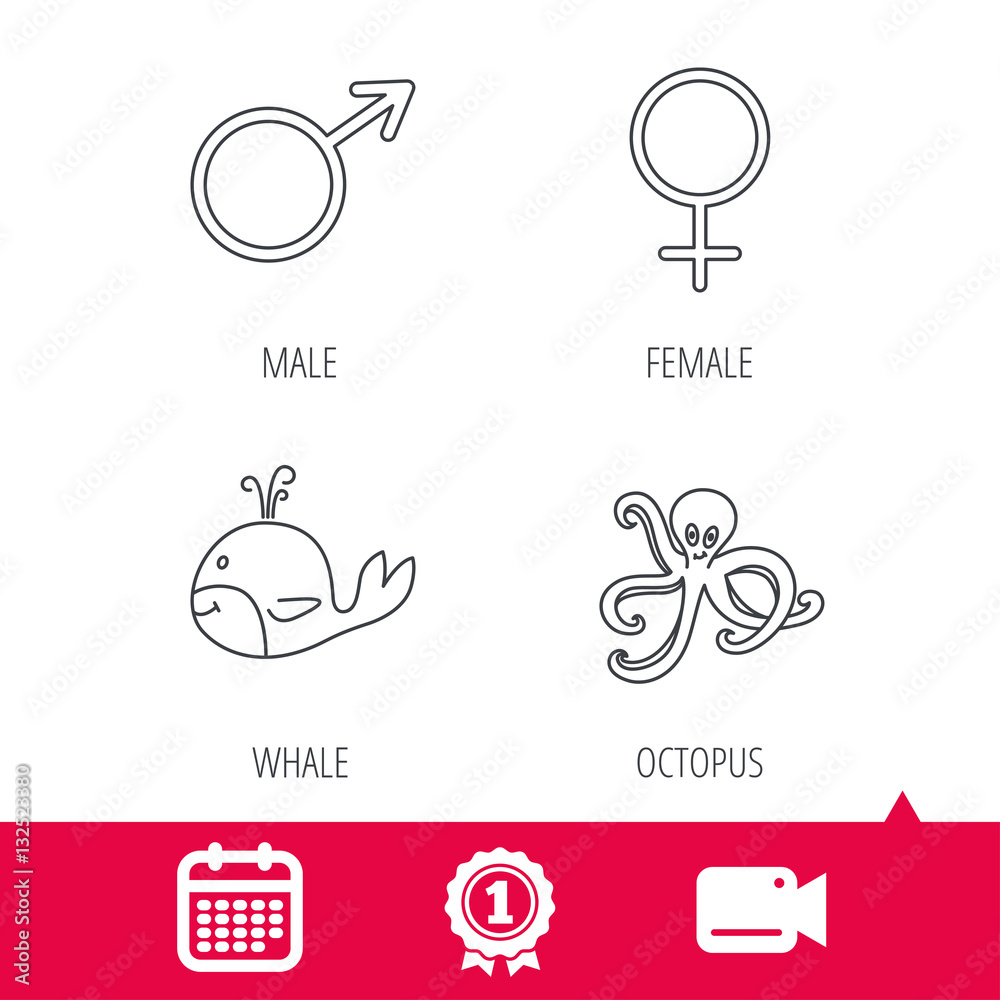 Achievement and video cam signs. Male, female and octopus icons. Whale linear sign. Calendar icon. Vector
