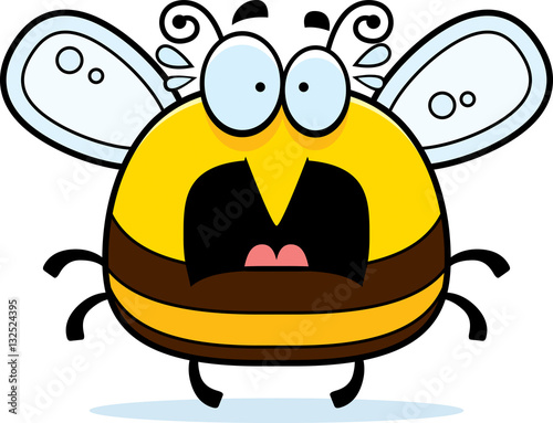 Scared Little Bee