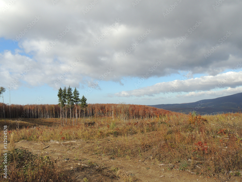 Autumn in the Carpathian Mountains. Transcarpathia, Ukraine.