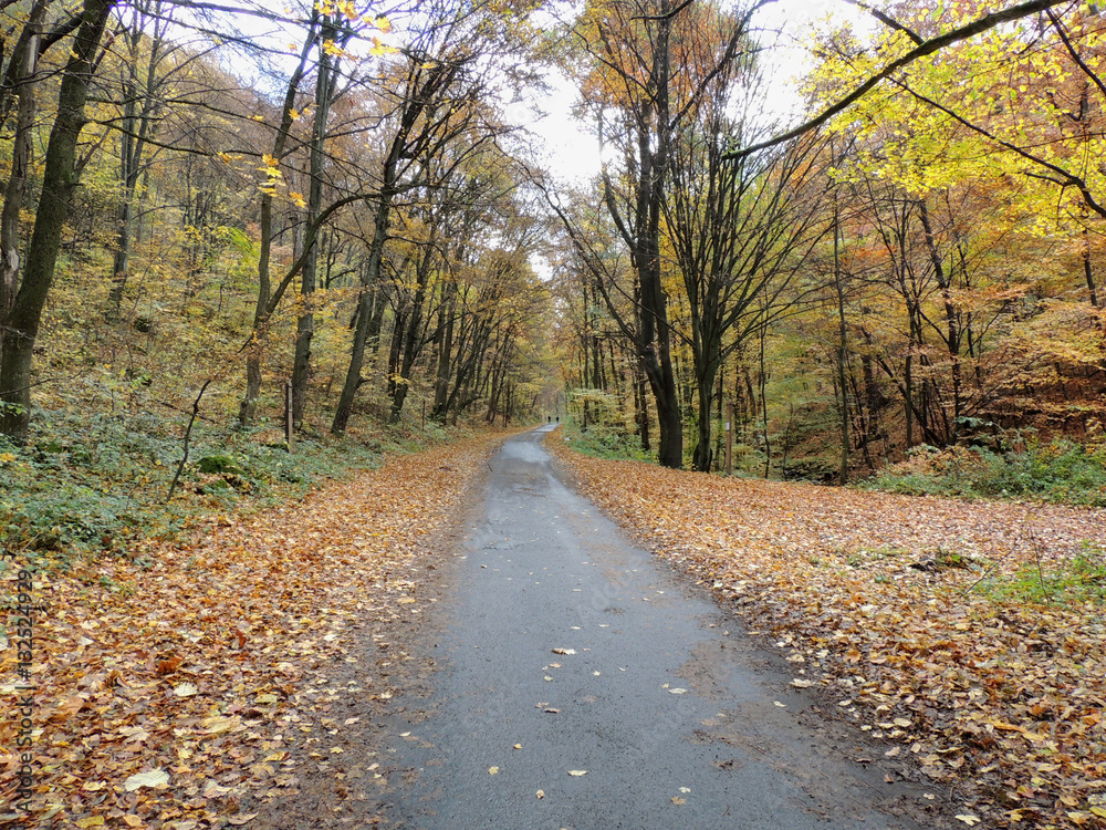 Autumn in the Carpathian Mountains. Transcarpathia, Ukraine. Autumn in the Carpathian Mountains. Transcarpathia, Ukraine.