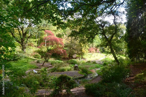The Japanese garden, Dalzell Estate, Motherwell photo