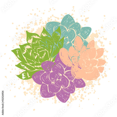Vector illustration with succulents