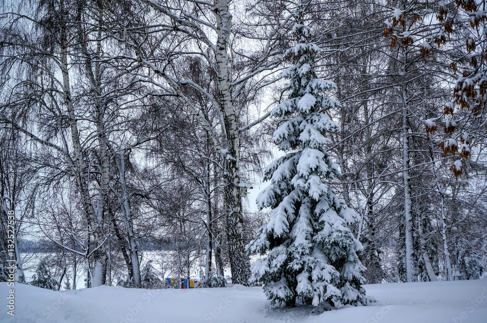 Русская зима 