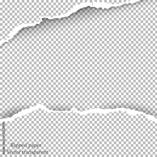 ripped paper and transparent background with space for text, vector art and illustration.