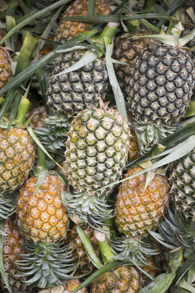 THAILAND ISAN NONG KHAI MARKET PINEAPLE THAILAND ISAN NONG KHAI MARKET PINEAPLE