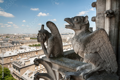 Chimera of Notre Dame © Eugene Kalenkovich