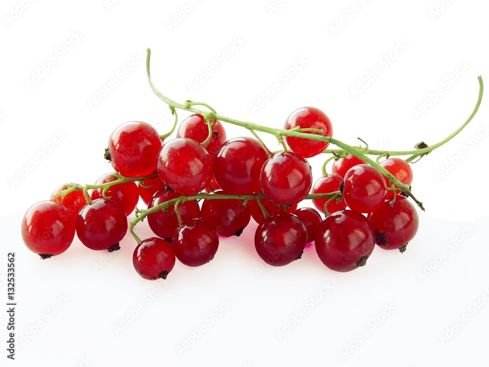 cluster of red currant
