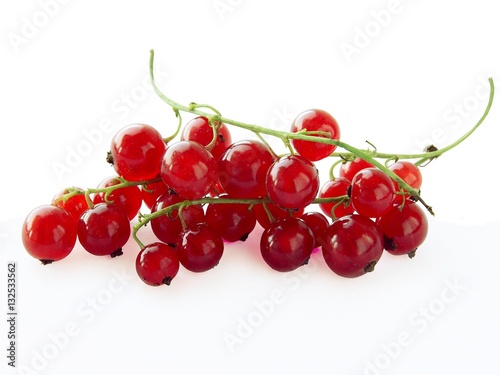 cluster of red currant