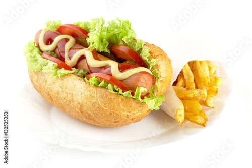 Hot dog with ingredients with french fries on plate on white background