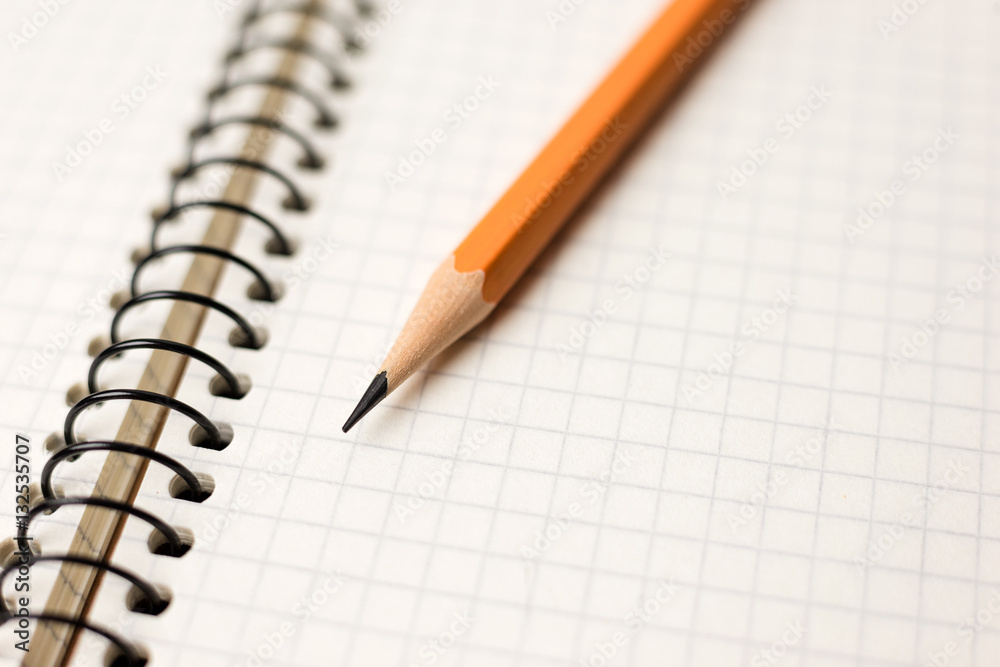 Pencil on the pages of an open notebook for records