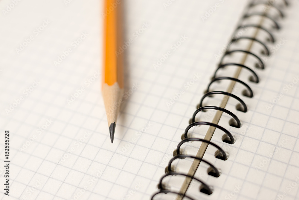 Pencil on the pages of an open notebook for records