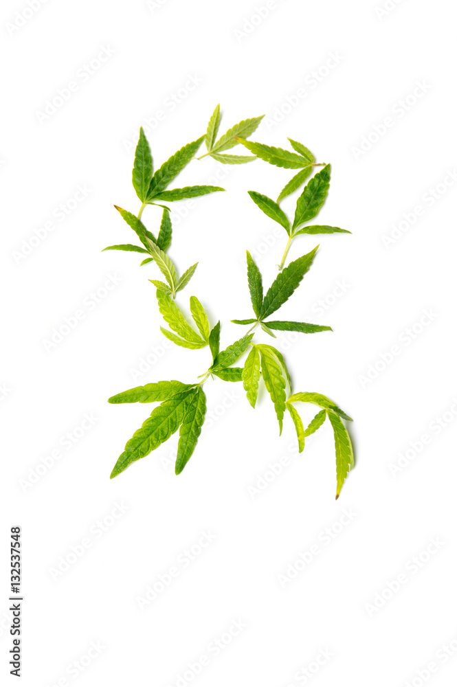 Fight cancer sign made from marijuana leaves Fight cancer sign made from marijuana leaves