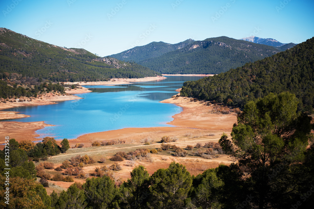 landscape of green forest and blue lake