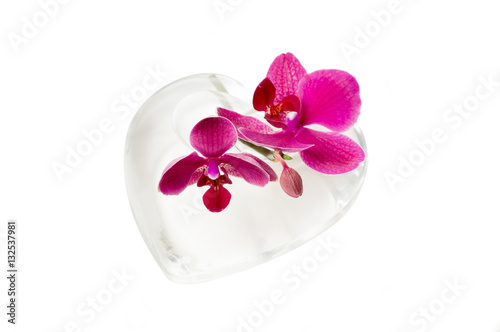 Fototapeta Naklejka Na Ścianę i Meble -  Orchidee mit Glas aus Herz isoliert vor weißem Hintergrund