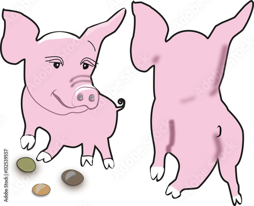 Fototapeta Naklejka Na Ścianę i Meble -  Kleine Schweine, Little Pigs