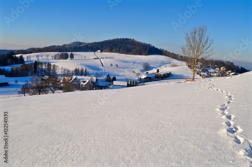 Schnee auf dem Albis Pass im Winter mit Blick auf den Uetliberg, Hausberg von Zürich, Schweiz