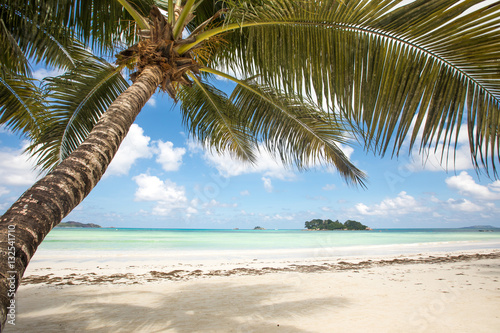 Beach view on the island of Praslin  Seychelles.