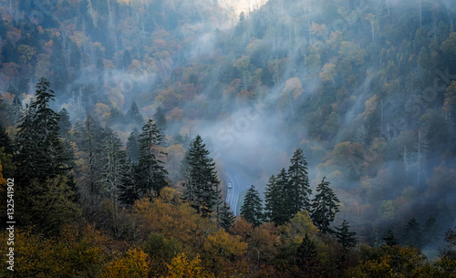 Smoky Mountain Fog photo