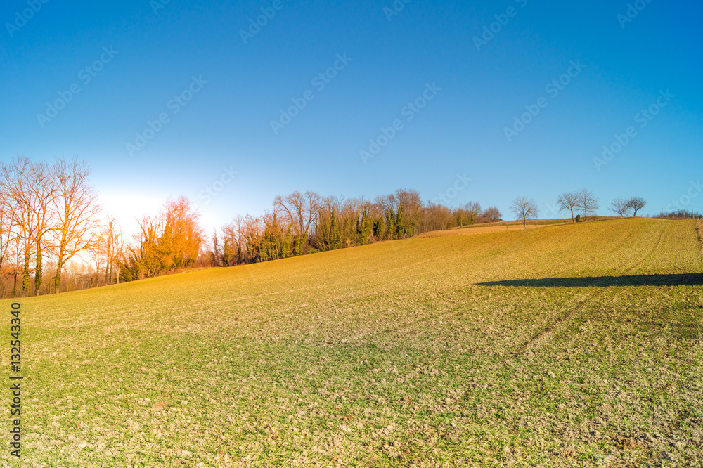 expanse of green grass with blue sky, countryside and farm