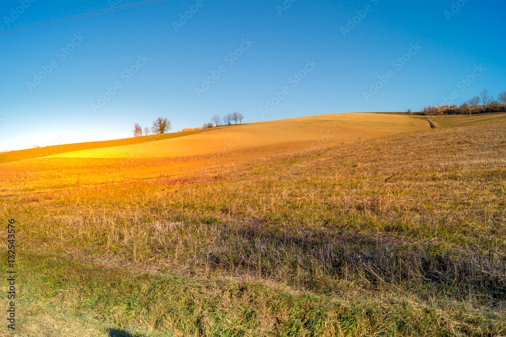 expanse of green grass with blue sky, countryside and farm