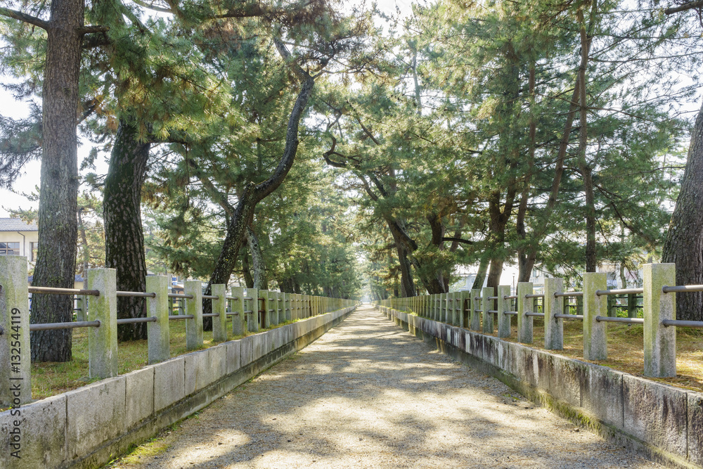 The straight walkway in front of the historical Horyu Ji