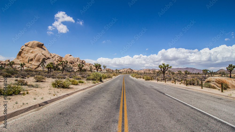Deserto e cactus Deserto e cactus