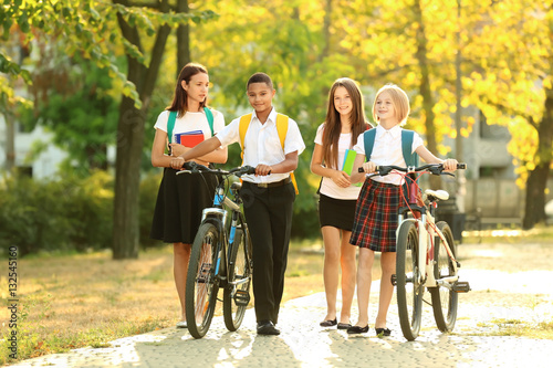 Teenagers with bicycles wal...