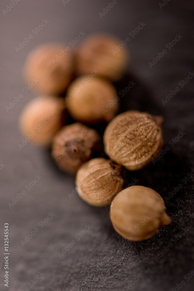 coriander seeds coriander seeds