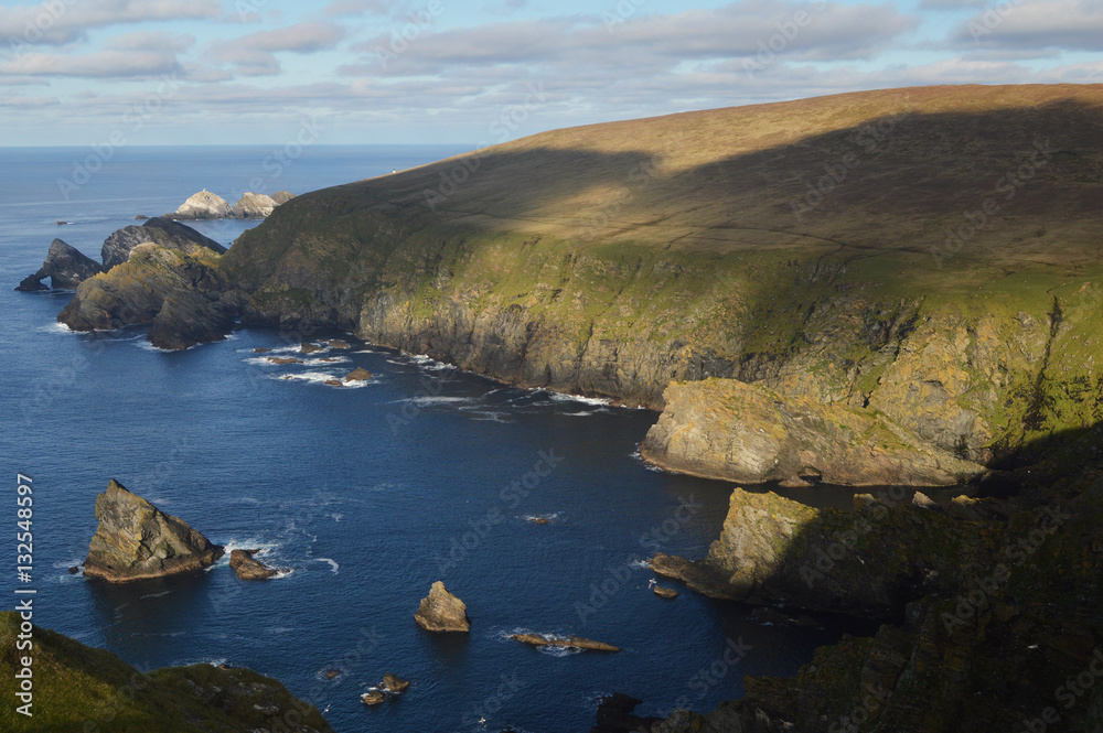 Fototapeta premium Cliffs and ocean at Hermaness national reserve on the island of Unst