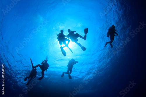Scuba diving. Underwater divers silhouette against sun © Richard Carey