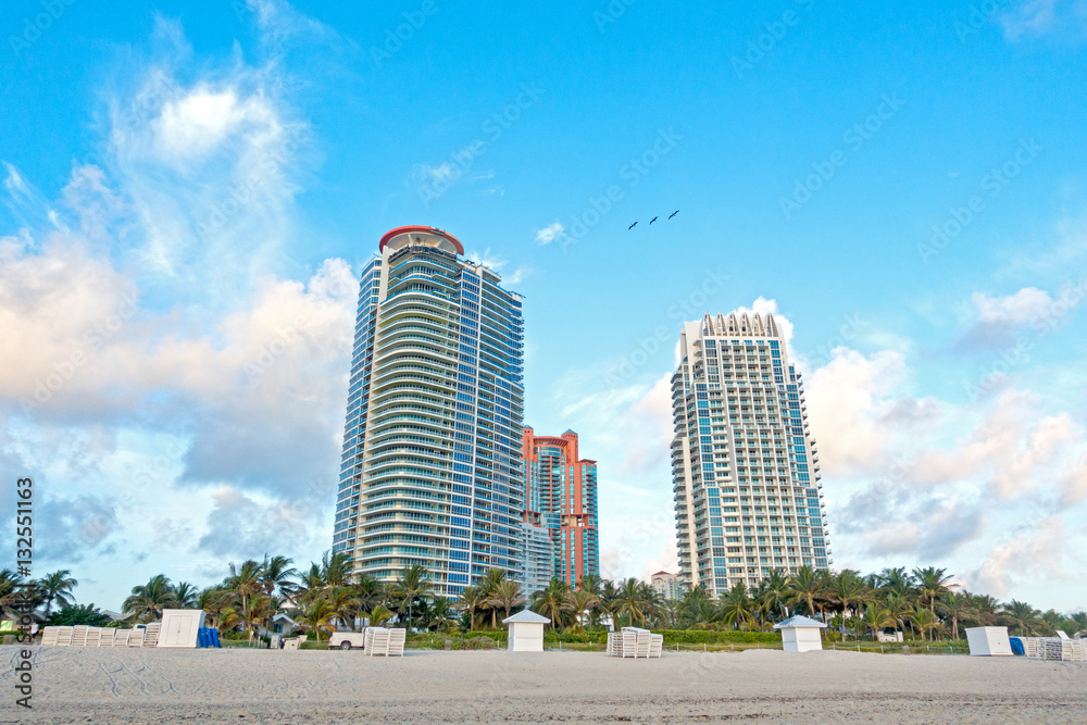 Three Pelicans Flying Above Miami Beach Hotels at Dawn Three Pelicans Flying Above Miami Beach Hotels at Dawn