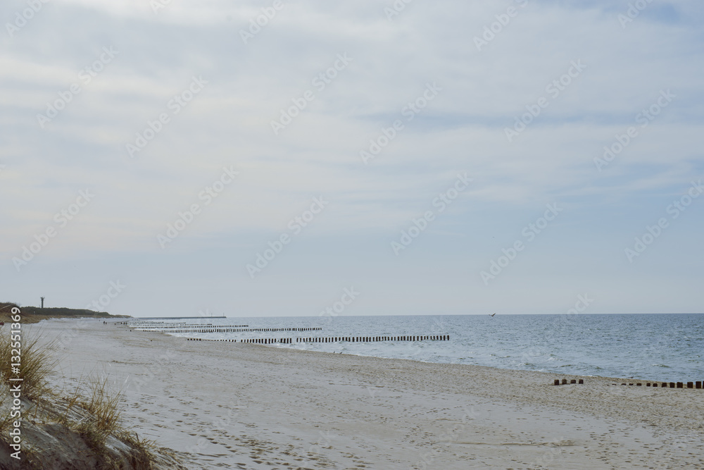 sunny beach with sand dunes