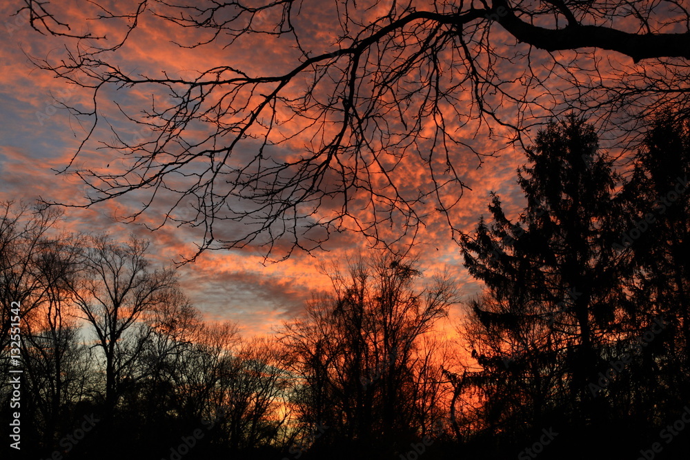 sunrise sunrise