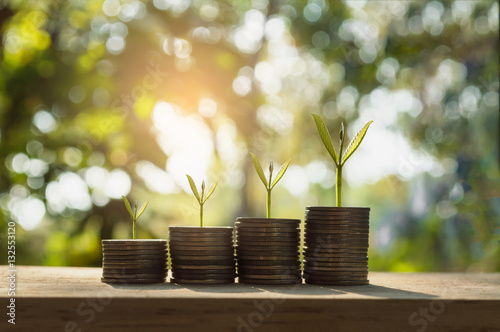 silver coin stack and tree in concept of growth business backgro