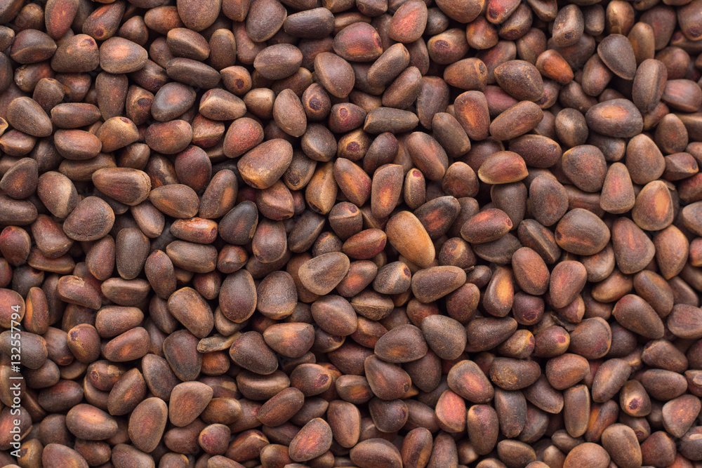 cedar nuts cedar nuts