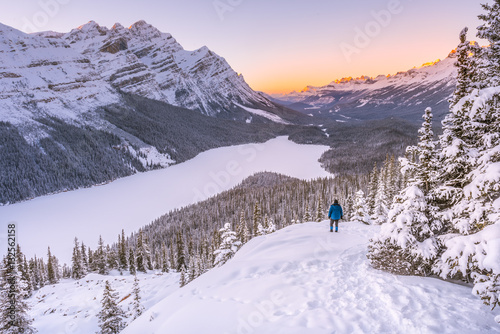 Panorama winter landscape at Peyto lake in Canadian Rockies during sunset