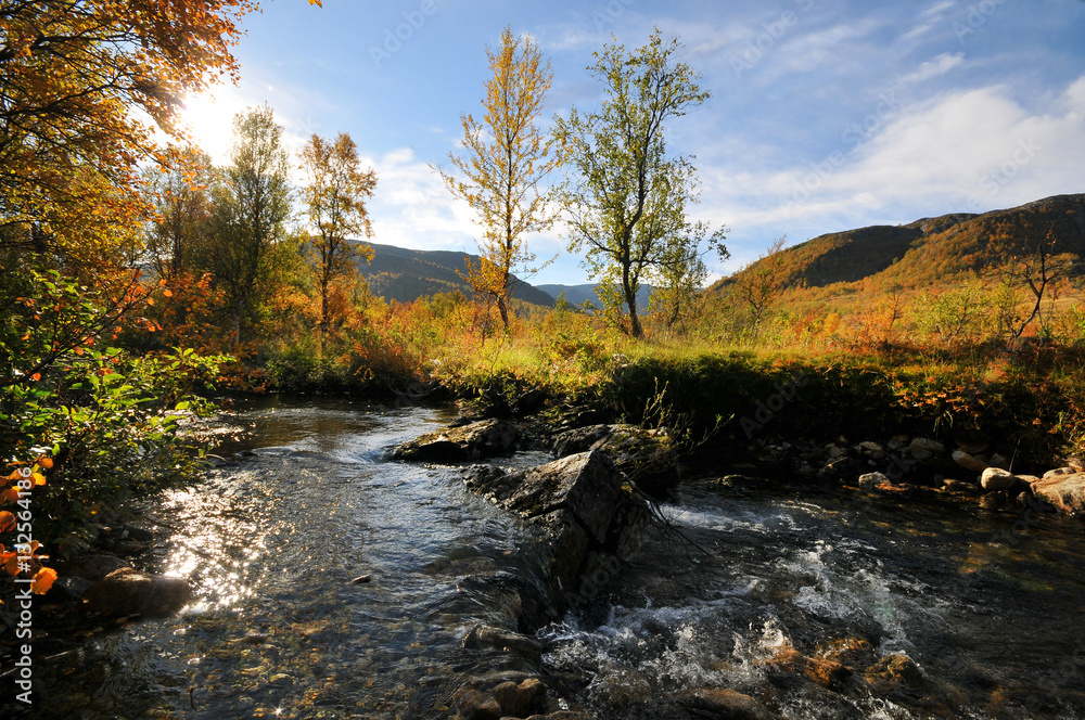 Tree standing in the autumn in the valley among the mountains – Stock Image Tree standing in the autumn in the valley among the mountains Tree standing in the autumn in the valley among the mountains – Stock Image Tree standing in the autumn in the valley among the mountains
